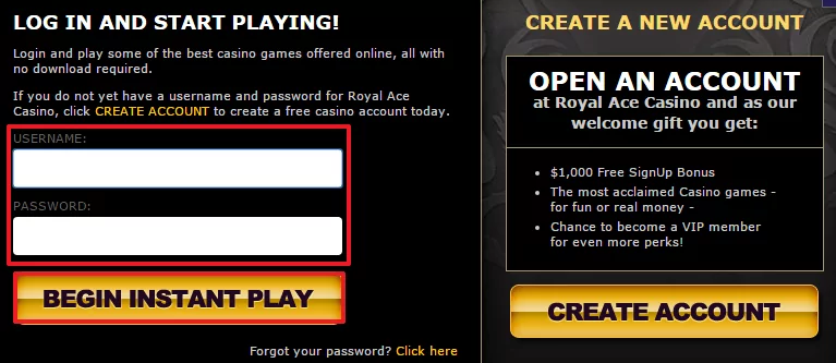 Royal Ace Casino login 3
