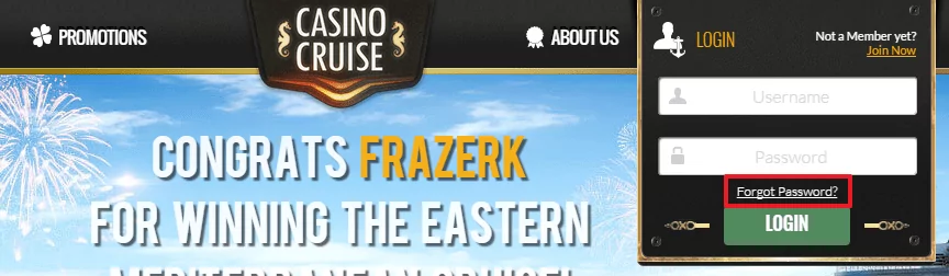 Casino Cruise login 3