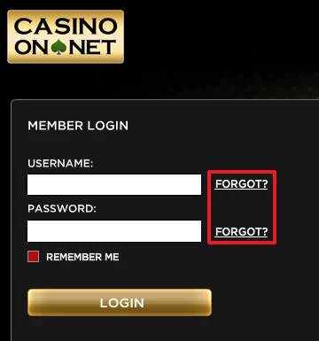 Casino On Net login 3