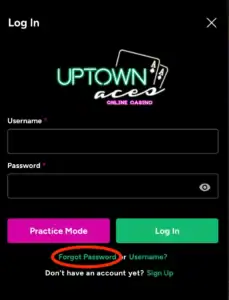 Navigating the Login Interface
